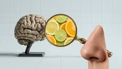 匂いで記憶がよみがえるのはなぜ?嗅覚が感情に直結する仕組みをやさしく解説