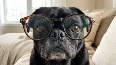 問題は単に画面だけではない:科学者たちは近視の増加に予期せぬ原因を発見した